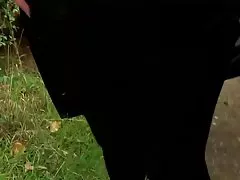 Sexy slut მიიღო ერთი დიდი booty